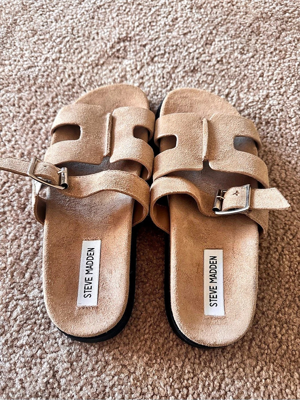 Steve Madden Captive Sandal Brown Buckle Sandals